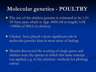 Advances Of Molecular Genetics Of Poultry | PPT