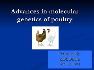 Advances in molecular genetics of poultry Presented By : Alok Bharti MVSc. [ AGB ] 