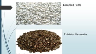 Expanded Perlite
Exfoliated Vermiculite
 