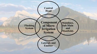 Component
of Micro
Irrigation
System
Control
Head
Mainlines,
Sub Main
and
Manifolds
Laterals and
Emitter
Flushing
System
 