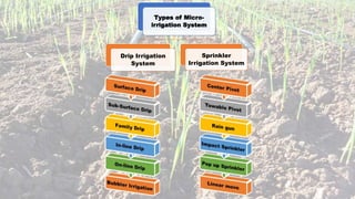 Types of Micro-
irrigation System
Drip Irrigation
System
Sprinkler
Irrigation System
 
