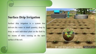 Surface Drip Irrigation
Surface drip irrigation is a system that
delivers the water in small quantity, drop by
drop, to each individual plant on the field by
the means of tubes running on the open
surface of the soil.
 