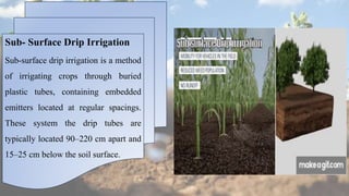 Sub- Surface Drip Irrigation
Sub-surface drip irrigation is a method
of irrigating crops through buried
plastic tubes, containing embedded
emitters located at regular spacings.
These system the drip tubes are
typically located 90–220 cm apart and
15–25 cm below the soil surface.
 