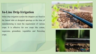 In-Line Drip Irrigation
Inline drip irrigation system the drippers are fixed in
the lateral tube at designed spacings at the time of
manufacturing to meet the requirement of various
crops. It is effective for row crops like cotton,
sugarcane, groundnut, vegetables and flowering
crops.
 