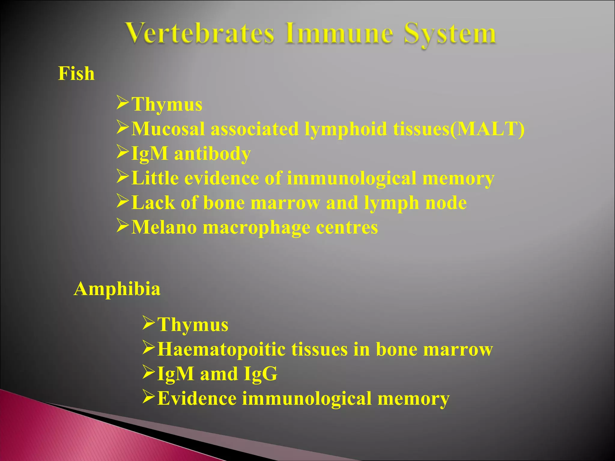 Thymus Mucosal associated lymphoid tissues(MALT) IgM antibody Little evidence of immunological memory Lack of bone marrow and lymph node Melano macrophage centres Thymus Haematopoitic tissues in bone marrow IgM amd IgG Evidence immunological memory Amphibia Fish 