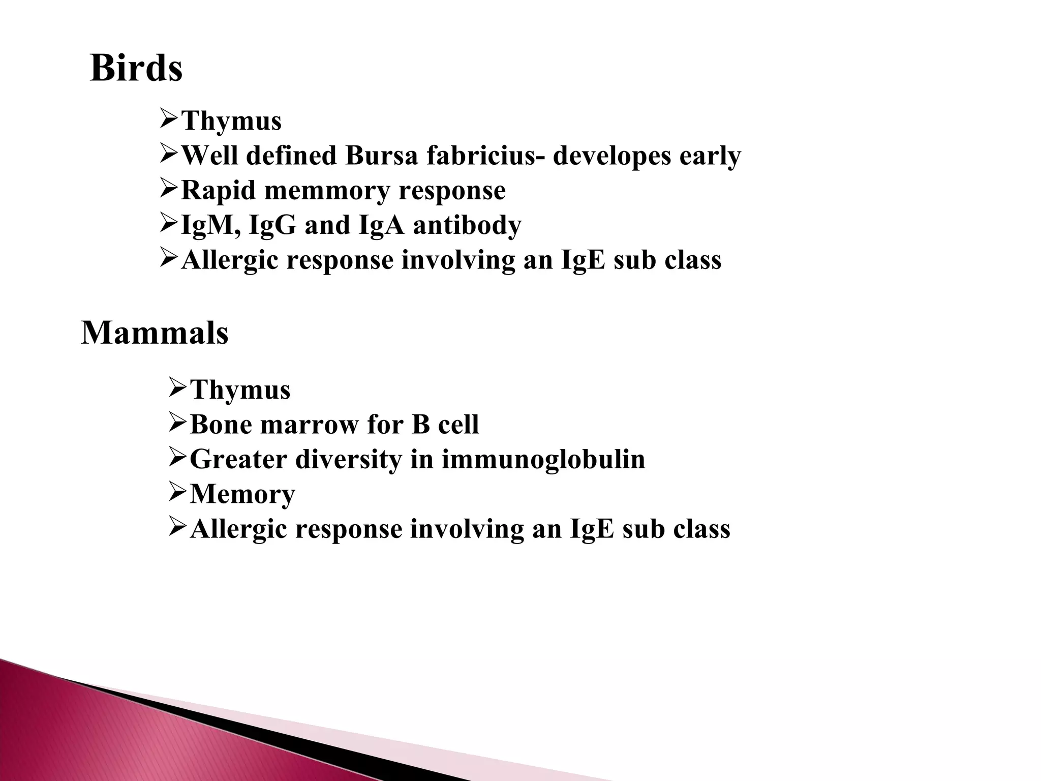 Birds Thymus Well defined Bursa fabricius- developes early Rapid memmory response IgM, IgG and IgA antibody Allergic response involving an IgE sub class Mammals Thymus Bone marrow for B cell Greater diversity in immunoglobulin Memory Allergic response involving an IgE sub class 