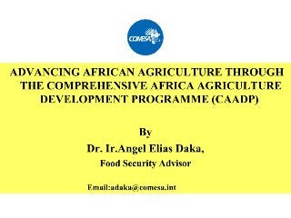 Advancing African Agriculture through the Comprehensive Africa Agriculture Development Programme (CAADP) 