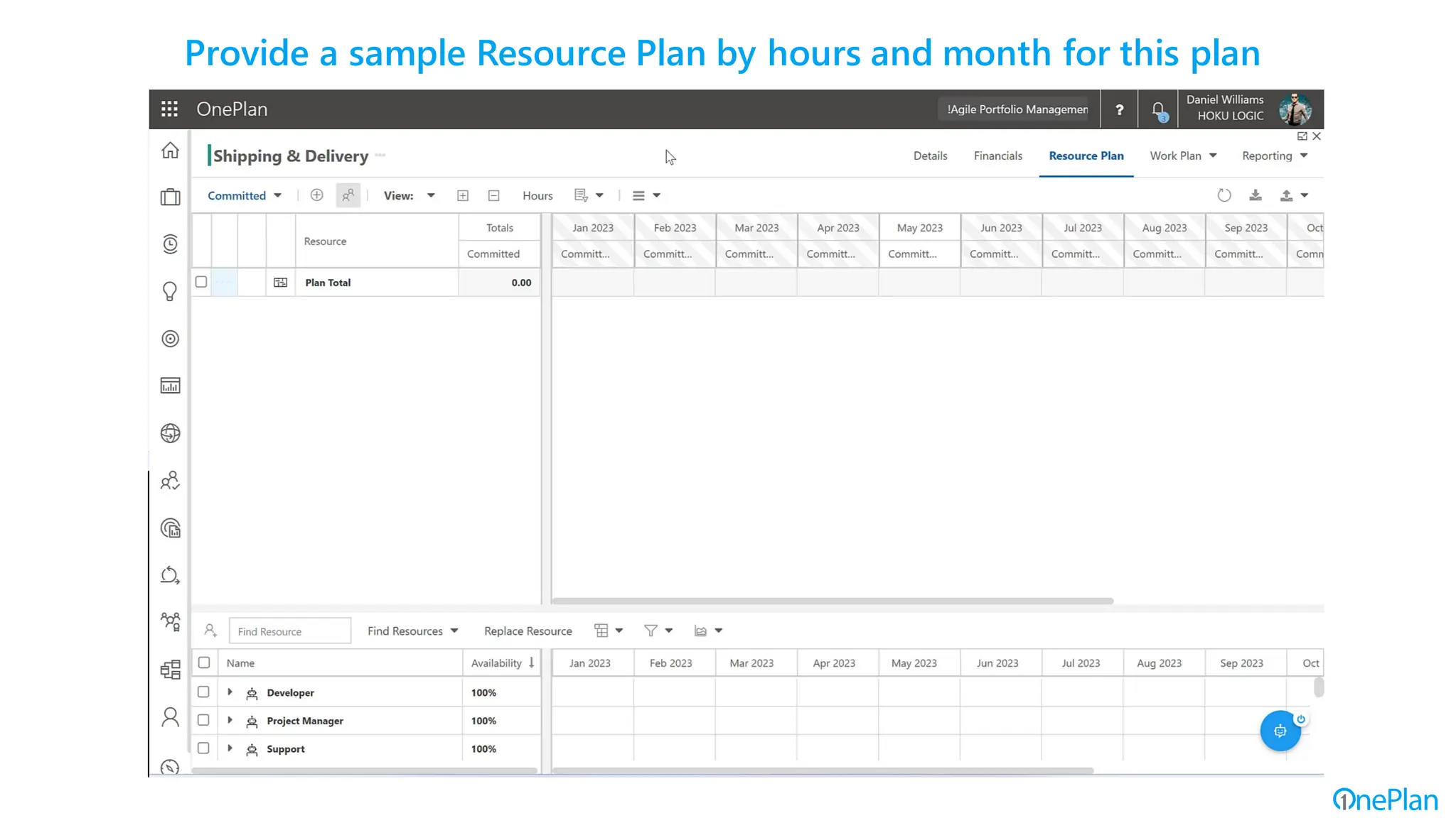 Provide a sample Resource Plan by hours and month for this plan
 
