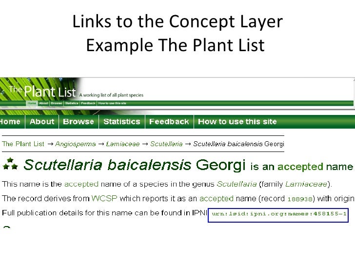 Advancing the International Plant Names Index (IPNI)