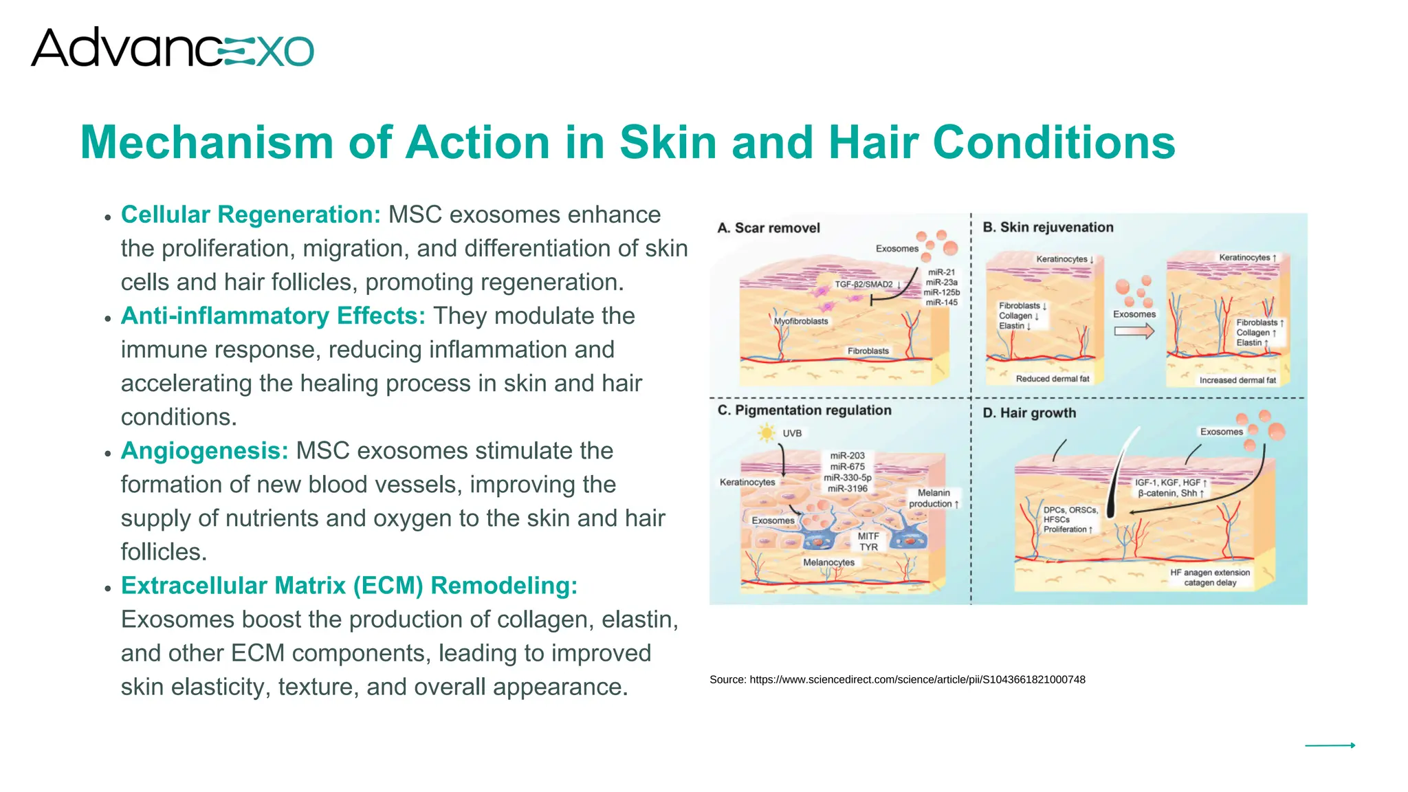 Mesenchymal Stem Cell Derived Exosomes: Applications in Dermatology and ...
