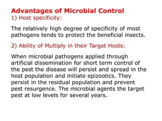 Advantages of Microbial Control
1) Host specificity:
The relatively high degree of specificity of most
pathogens tends to protect the beneficial insects.
2) Ability of Multiply in their Target Hosts:
When microbial pathogens applied through
artificial dissemination for short term control of
the pest the disease will persist and spread in the
host population and initiate epizootics. They
persist in the residual population and prevent
pest resurgence. The microbial agents the target
pest at low levels for several years.
 