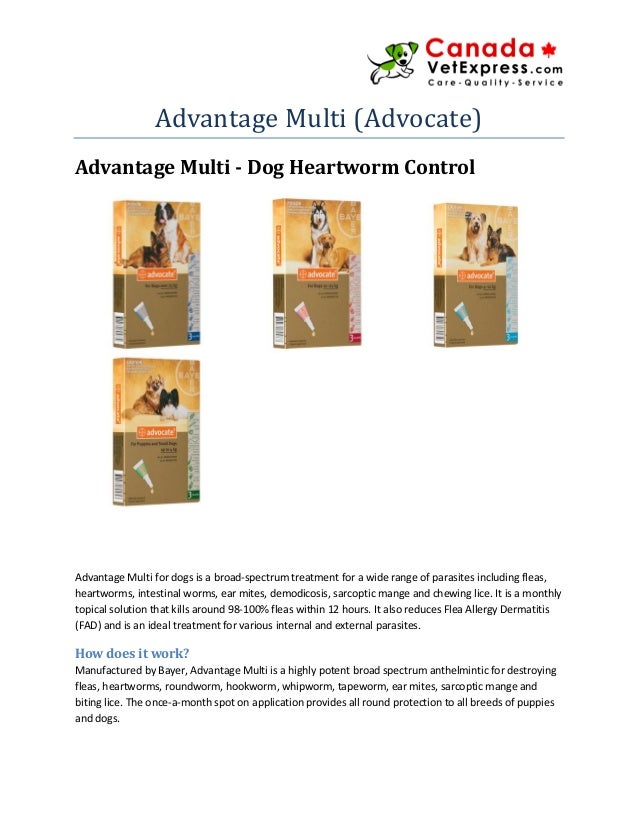 bayer advantage multi for dogs