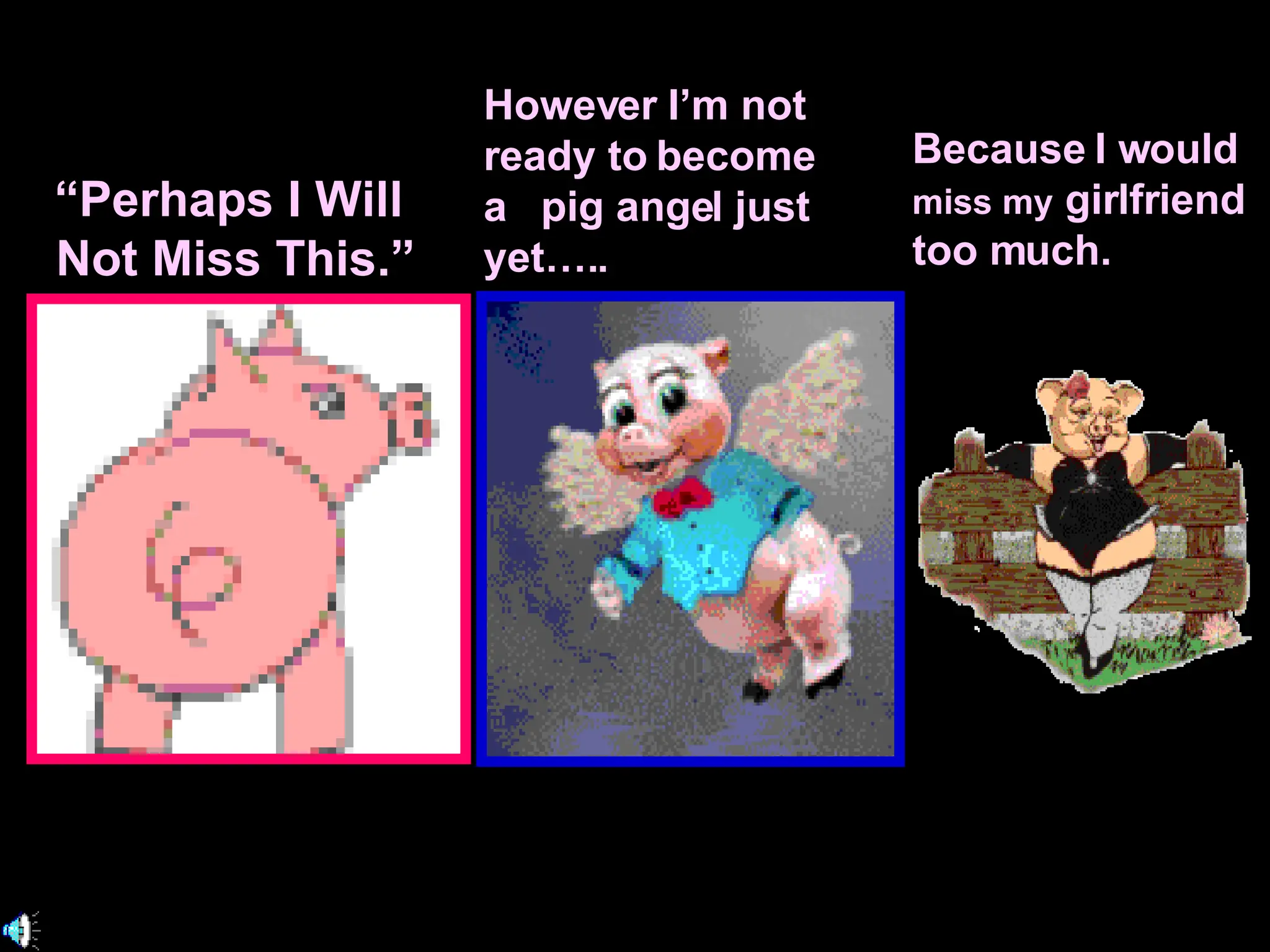 “ Perhaps I Will  Not Miss This.” However I’m not ready to become a  pig angel just yet….. Because I would  miss my  girlfriend too much.  