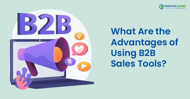 What Are the
Advantages of
Using B2B
Sales Tools?
 