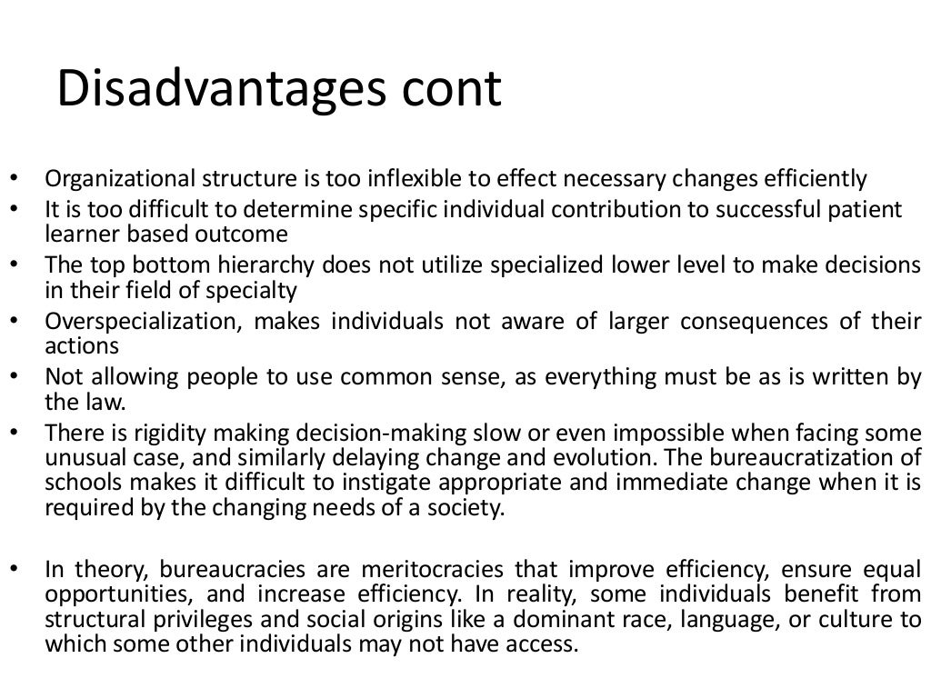 Advantages and disadvantages of bureaucracy