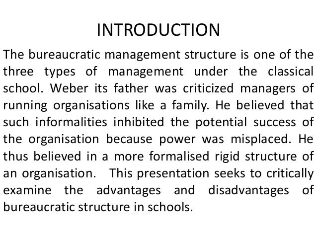 What are some advantages and disadvantages of a bureaucracy?