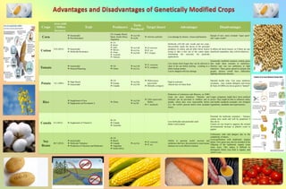 Crops
Area yield
( Million
hectares)
Trait Producers
Toxin
Produced
Target Insect Advantages Disadvantages
Corn
 Insecticidal
 Pest Resistance
US, Canada, Brazil,
Spain, South Africa,
Argentina
 cry1Ab
 cry9c
 Ostrinia nubilalis Less damage by Insects, viruses and bacteria
Spread of new, more resistant "super pests”
and “super weeds”
Cotton
18.8 (2012)  Insecticidal
 Herbicide Resistance
 US
 Brazil
 India
 Mexico
 China
 Australia
 Pakistan
 cry1Ab
 cry1Ac
 cry2Ab
 H.virescens
 H. zea
 S. Exigua
Herbicide will kill only weeds and not crops.
Successfully repels the larvae of the principal
predators of cotton, and all other larval insects
trying to take a bite out of the cotton plant,
eliminating the necessity for pesticide
applications.
It affects all larval insects, so if there are any
beneficial caterpillars, they will be killed too.
Tomato
 Insecticidal
 Delayed Ripening
 US
 China
 cry1Ab
 cry1Ac
 H. virescens
 H. armigera
Can remain fresh longer they can be allowed to
ripen in the sun before picking - resulting in a
better tasting tomato.
Can be shipped with less damage
Genetically modified tomatoes contain genes
that made them resistant to antibiotics.
Doctors and vets use antibiotics to fight
infections. These genes spread to animals and
people, doctors would have difficulties
fighting infectious diseases.
Potato <0.1 (2001)
 High Starch
 Insecticidal
 US
 Europe
 Canada
 cry3Aa
 cry1Ab
 Phthorimaea
operculella
 Heliothis armigera
High in nutrients
Absorb less oil when fried
Harmful health risks: Can cause antibiotic
resistance , may contain allergens and toxins
& Taste of GMOs are not as good or "natural"
Rice
 Supplement of Iron
 Supplement od Provitamin A
 China
 cry1Ab
 cry1B
 Chilo supressalis
Walker
 C. medinalis
Reduction of sicknesses and illnesses, as GMO
crops are more nutritious. Vitamins and
minerals can be provided to children and to
people, where they were inaccessible before
(i.e.: the world’s poorest and/or most secluded
areas).
Larger companies might have more political
power. They might be able to influence safety
and health standards (example: less stringent
regulations, standards and requirements).
Canola 9.2 (2012)  Supplement of Vitamin E
 US
 Canada
 Australia
Less herbicides and pesticides used
Better weed control
Potential for herbicide resistance - Farmers
cannot save seeds and will be penalized if
they do so
Canola oil was found to suppress the normal
developmental increase in platelet count in
piglets
Soy
Beans
80.7 (2012)
 Insecticidal
 Herbicide Tolerance
 Production of Vaccines and Medicines
 US
 Brazil
 Canada
 Argentina
 South Africa
 cry1Ac
 H. virescens
 H. zea
Ability to generate useful vaccines and
medicines that have the potential to treat human
diseases on a cost-effective manner
Unforeseen risks and dangers due to the
complexity of nature.
Cross-pollination with traditional, organic
plants. New genes may also be included in the
offspring of the traditional, organic crops
miles away. This makes it difficult to
distinguish which crop field is organic, and
which is not.
 