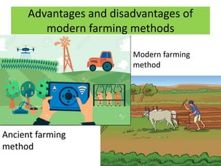 Advantages and disadvantages of
modern farming methods
Ancient farming
method
Modern farming
method
 