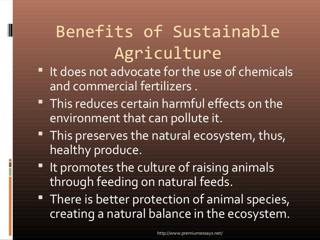 Advantages and disadvantages of sustainable agriculture