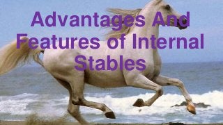 Advantages And
Features of Internal
Stables

 
