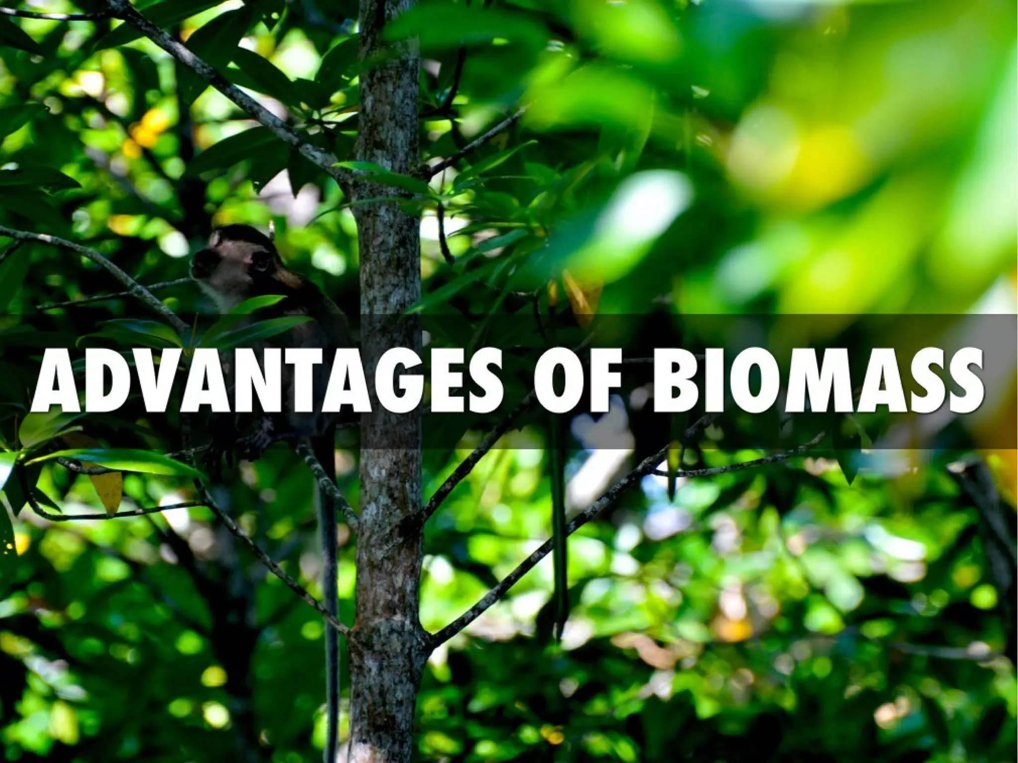 Advantages & Dis-Advantages of Biomass Energy | PPT