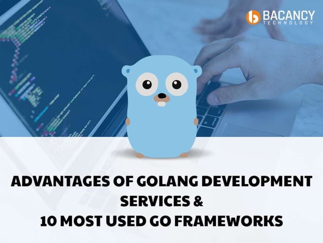 Advantages of golang development services & 10 most used go frameworks ...