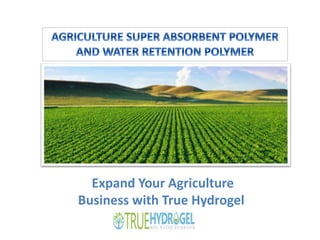 Expand Your Agriculture
Business with True Hydrogel
 