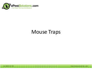 Call 1-888-523-7378Call 1-888-523-7378
Mouse Traps
http://www.epestsolutions.com/© 2012 ePestSolutions. All rights reserved.
 