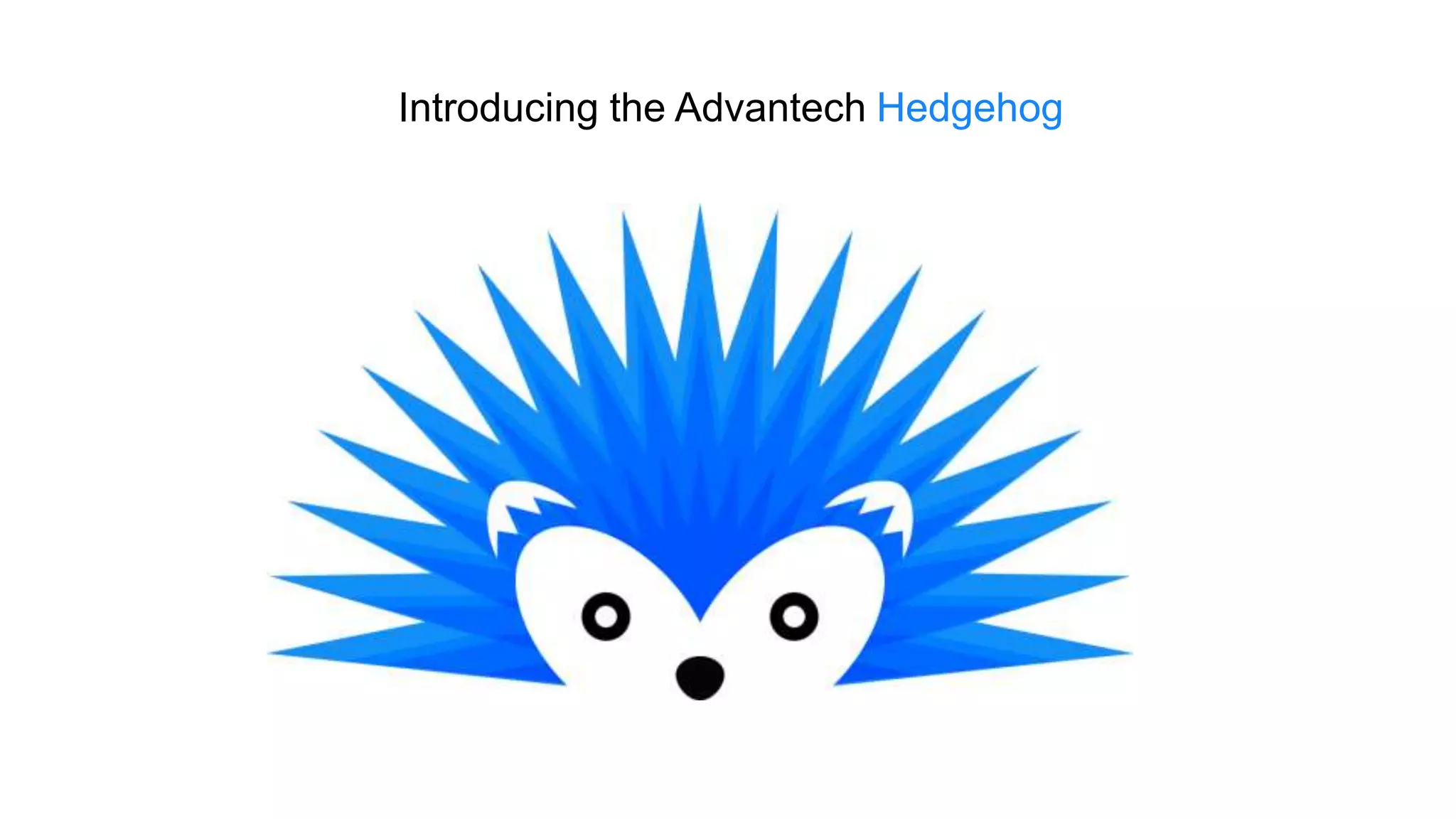 Introducing the Advantech Hedgehog
 