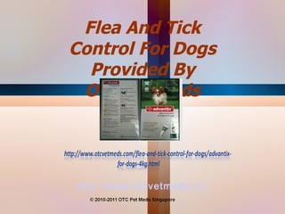 http://www.otcvetmeds.com Flea And Tick Control For Dogs Provided By Otc Pet Meds 
