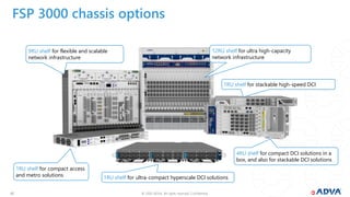 ADVA Webinar to Netwell.pdf