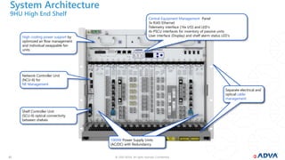 ADVA Webinar to Netwell.pdf