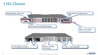 ADVA Webinar to Netwell.pdf