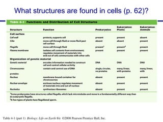 ADVBIOCH5ppt.ppt Cell Structure and Function | PPT