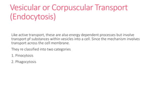 Vesicular or Corpuscular Transport
(Endocytosis)
Like active transport, these are also energy dependent processes but involve
transport pf substances within vesicles into a cell. Since the mechanism involves
transport across the cell membrane.
They re classified into two categories
1. Pinocytosis
2. Phagocytosis
 