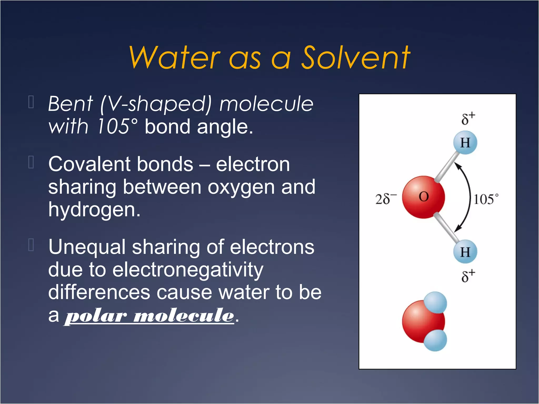 Water as a Solvent
 Bent (V-shaped) molecule
with 105° bond angle.
 Covalent bonds – electron
sharing between oxygen and
hydrogen.
 Unequal sharing of electrons
due to electronegativity
differences cause water to be
a polar molecule.
 