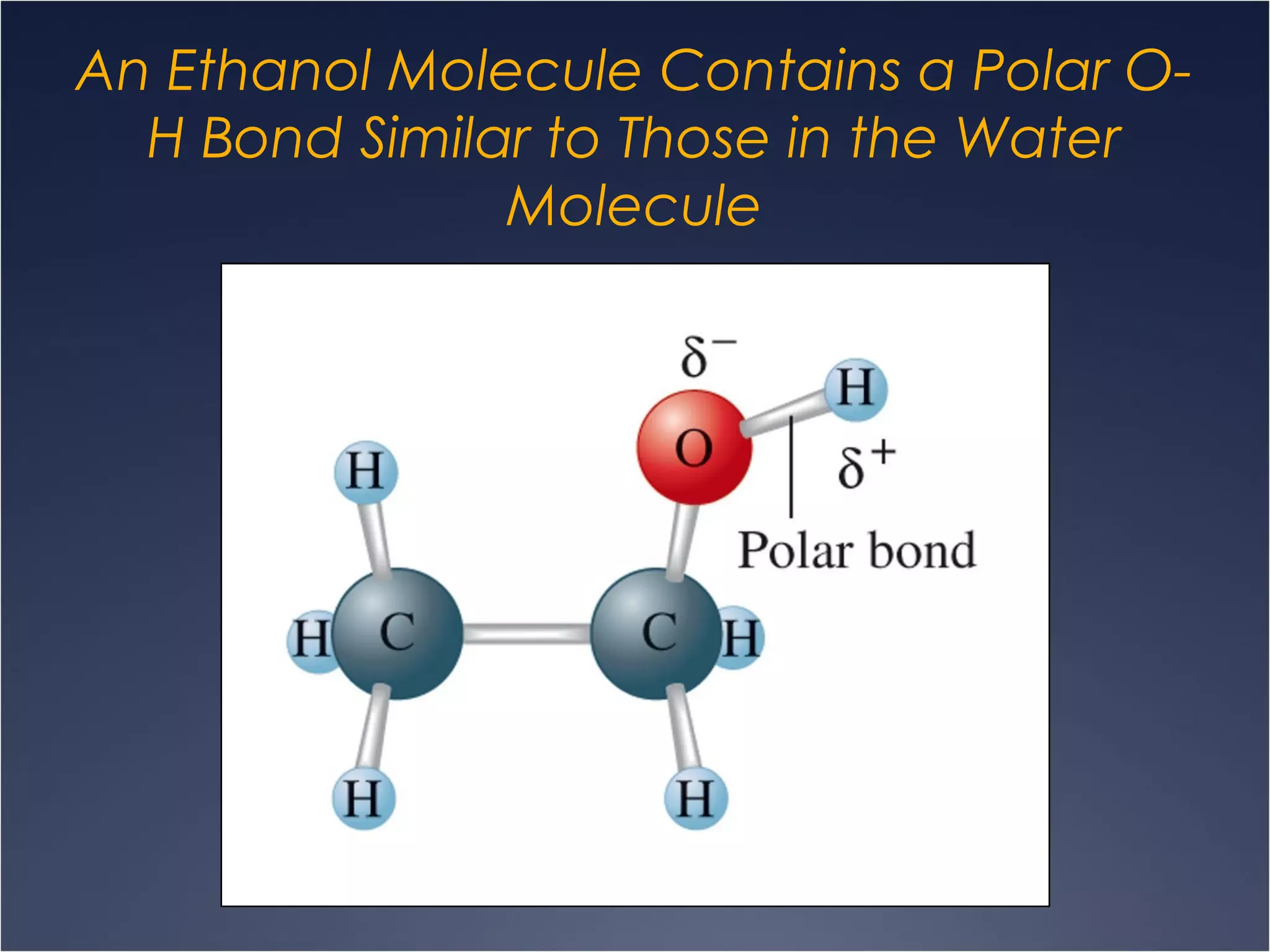 An Ethanol Molecule Contains a Polar O-
H Bond Similar to Those in the Water
Molecule
 