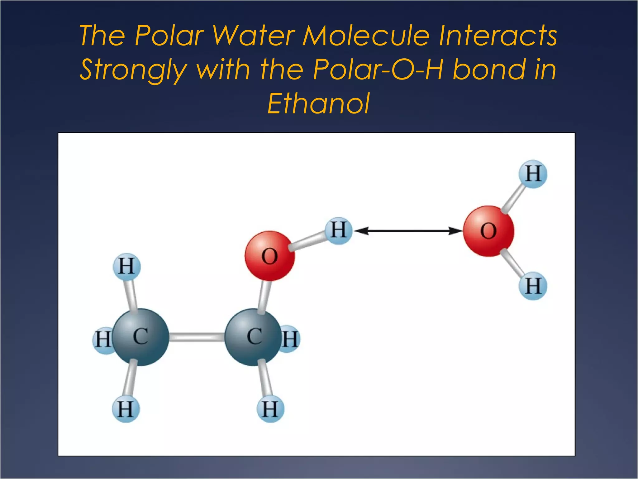 The Polar Water Molecule Interacts
Strongly with the Polar-O-H bond in
Ethanol
 