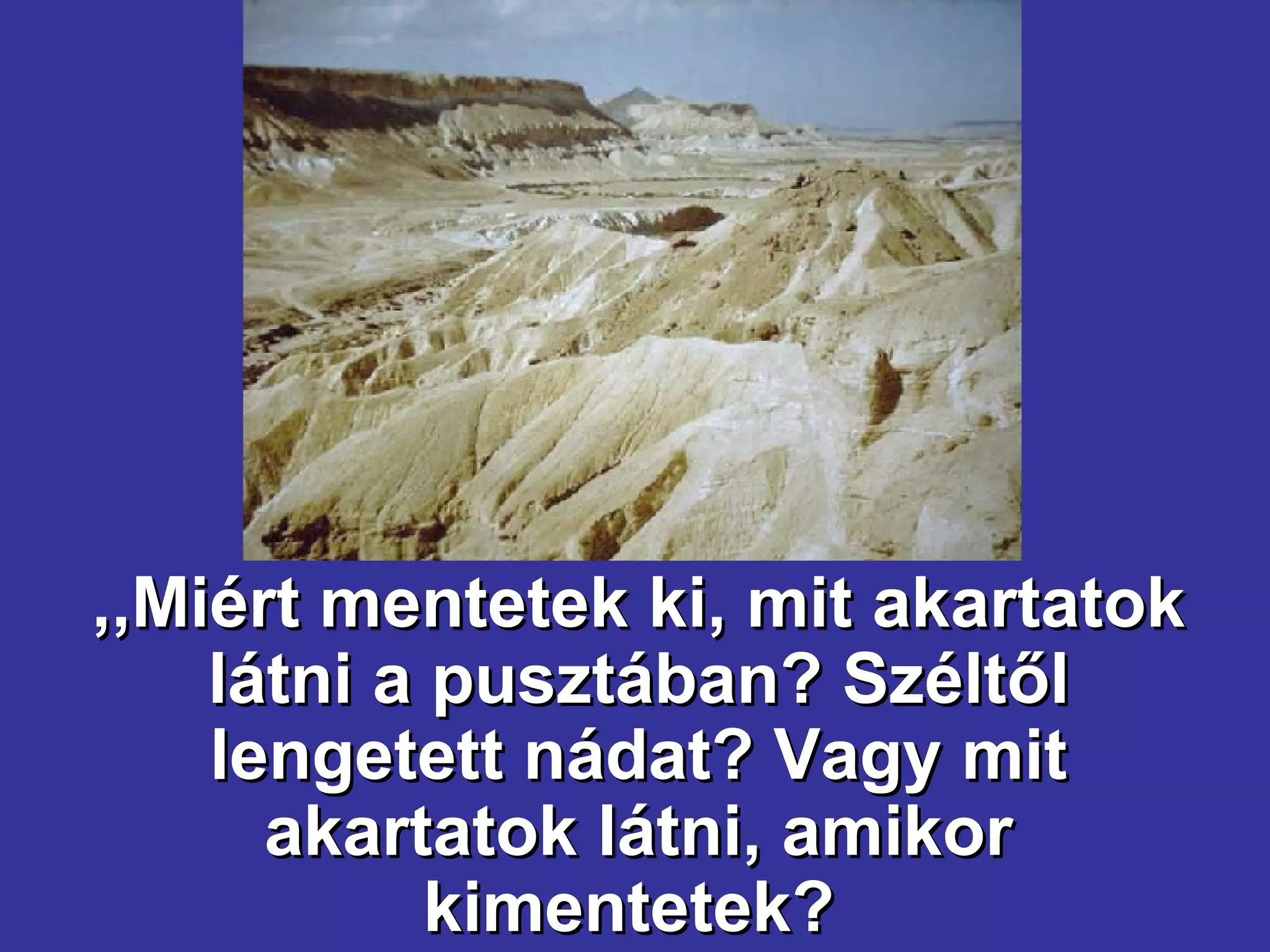 ,,Miért mentetek ki, mit akartatok látni a pusztában? Széltől lengetett nádat? Vagy mit akartatok látni, amikor kimentetek?  