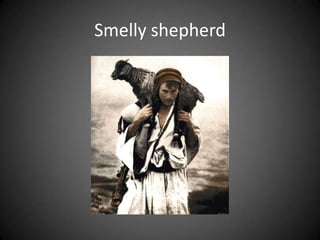 Smelly shepherd