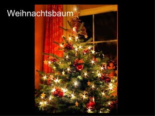 Weihnachtsbaum 