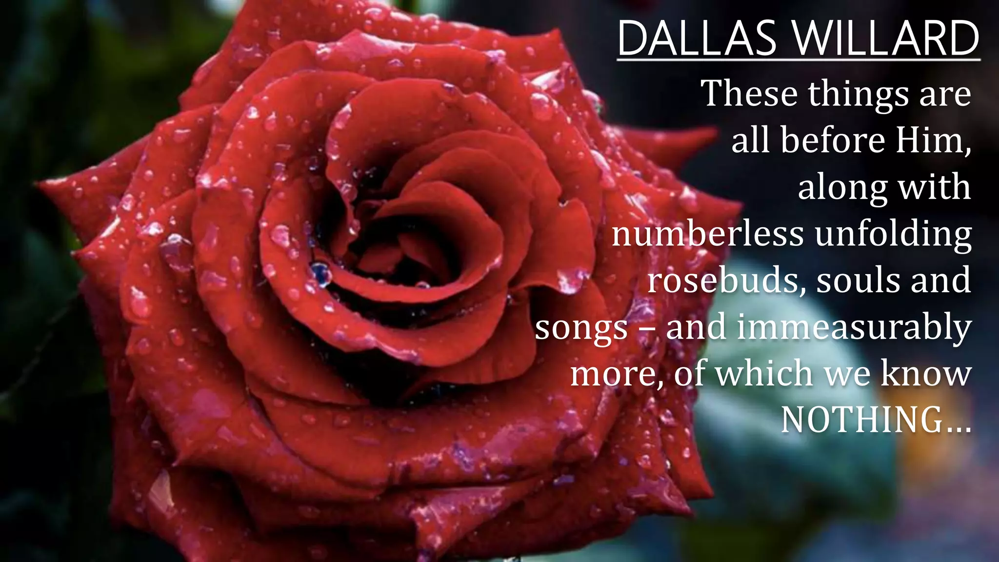 DALLAS WILLARD
These things are
all before Him,
along with
numberless unfolding
rosebuds, souls and
songs – and immeasurably
more, of which we know
NOTHING…
 