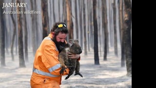 JANUARY
Australian wildfires
 