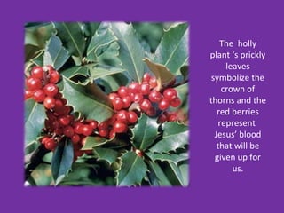 The holly
plant ‘s prickly
      leaves
 symbolize the
     crown of
thorns and the
   red berries
    represent
  Jesus’ blood
   that will be
  given up for
        us.
 