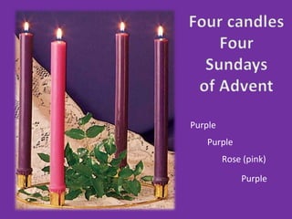 Purple
   Purple
         Rose (pink)

             Purple
 