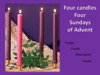 Purple
Purple
Rose (pink)
Purple