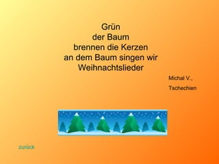 Grün der Baum brennen die Kerzen an dem Baum singen wir Weihnachtslieder Michal V.,  Tschechien zurück 