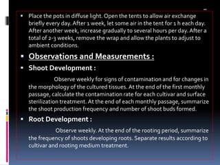 aaa
 Place the pots in diffuse light.Open the tents to allow air exchange
briefly every day.After 1 week, let some air in the tent for 1 h each day.
After another week, increase gradually to several hours per day. After a
total of 2-3 weeks, remove the wrap and allow the plants to adjust to
ambient conditions.
 Observations and Measurements :
 Shoot Development :
Observe weekly for signs of contamination and for changes in
the morphology of the cultured tissues. At the end of the first monthly
passage, calculate the contamination rate for each cultivar and surface
sterilization treatment. At the end of each monthly passage, summarize
the shoot production frequency and number of shoot buds formed.
 Root Development :
Observe weekly. At the end of the rooting period, summarize
the frequency of shoots developing roots. Separate results according to
cultivar and rooting medium treatment.
 