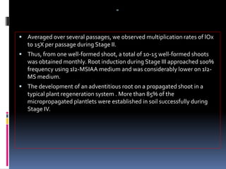 aa
 Averaged over several passages, we observed multiplication rates of lOx
to 15X per passage during Stage II.
 Thus, from one well-formed shoot, a total of 10-15 well-formed shoots
was obtained monthly. Root induction during Stage III approached 100%
frequency using 1I2-MSIAA medium and was considerably lower on 1I2-
MS medium.
 The development of an adventitious root on a propagated shoot in a
typical plant regeneration system . More than 85% of the
micropropagated plantlets were established in soil successfully during
Stage IV.
 