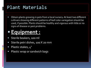 Plant Materials
 Obtain plants growing in pots from a local nursery. At least two different
cultivars showing different patterns of leaf color variegation should be
used, if possible. Plants should be healthy and vigorous with little or no
signs of disease or pest problems.
 Equipment :
 Sterile beakers, 100 ml
 Sterile petri dishes, 100 X 20 mm
 Plastic stakes, 4"
 Plastic wrap or sandwich bags
 